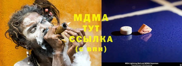 дмт Богданович