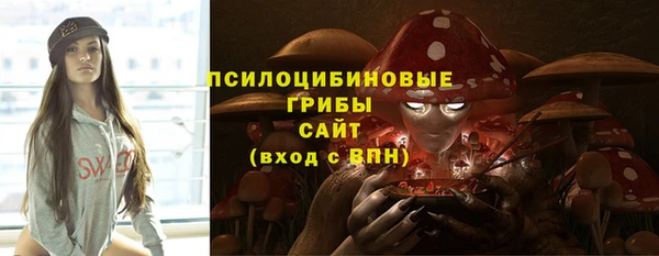 молекула духа Бугульма