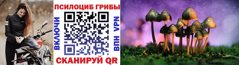 что такое наркотик  Щёлково  Галлюциногенные грибы Magic Shrooms 